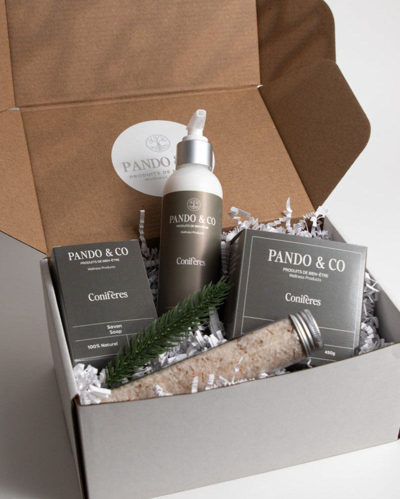 BOÎTE CADEAU | LE BOISÉ - Pando & Co