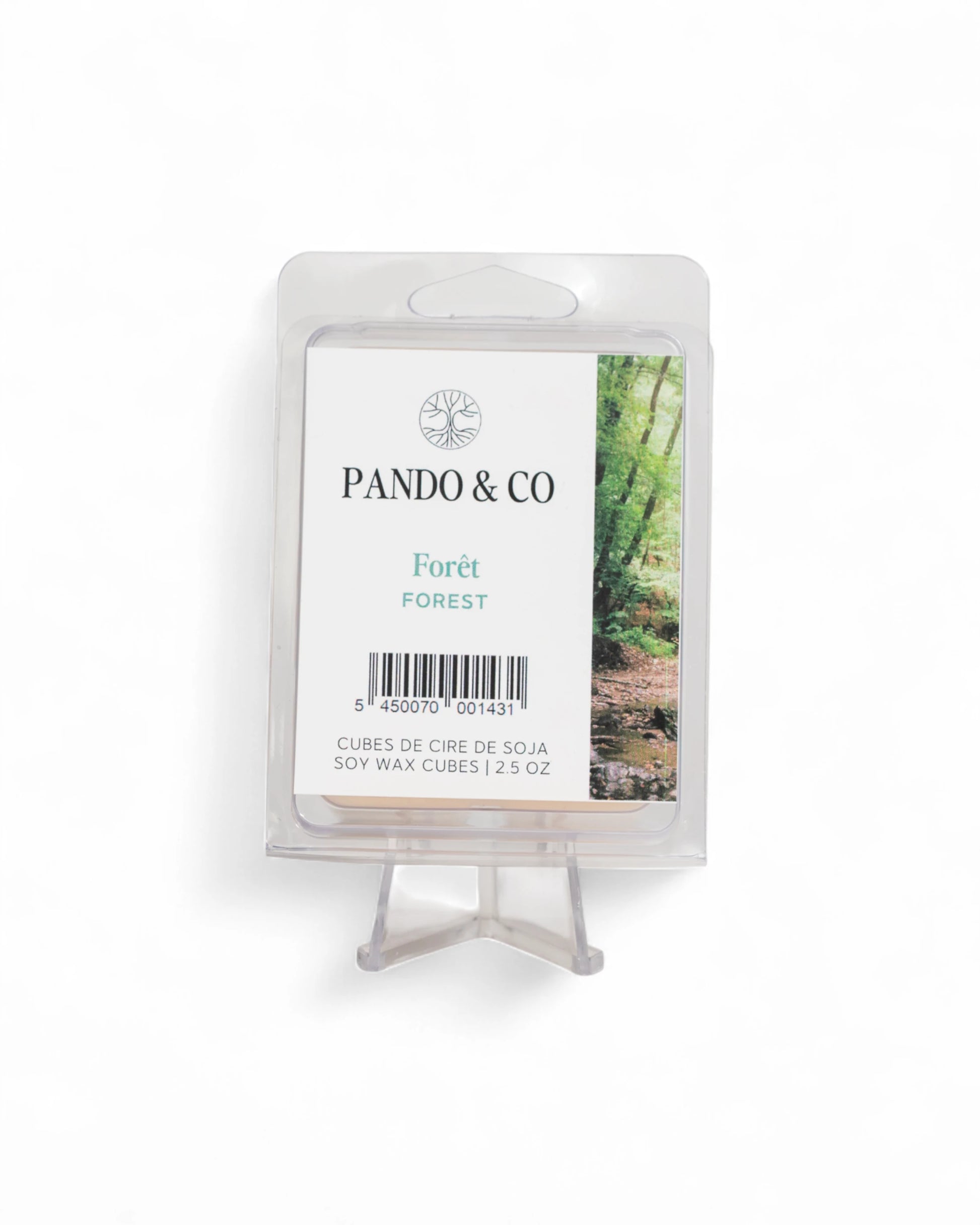 CUBES DE CIRE | FORÊT