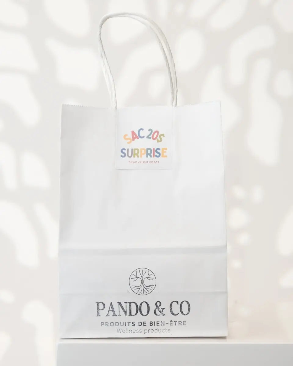 SAC SURPRISE ! - Pando & co -