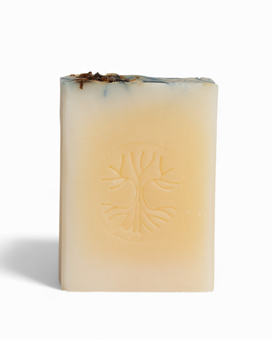 Savon corporel - Eucalyptus & lavande | Pando & Co