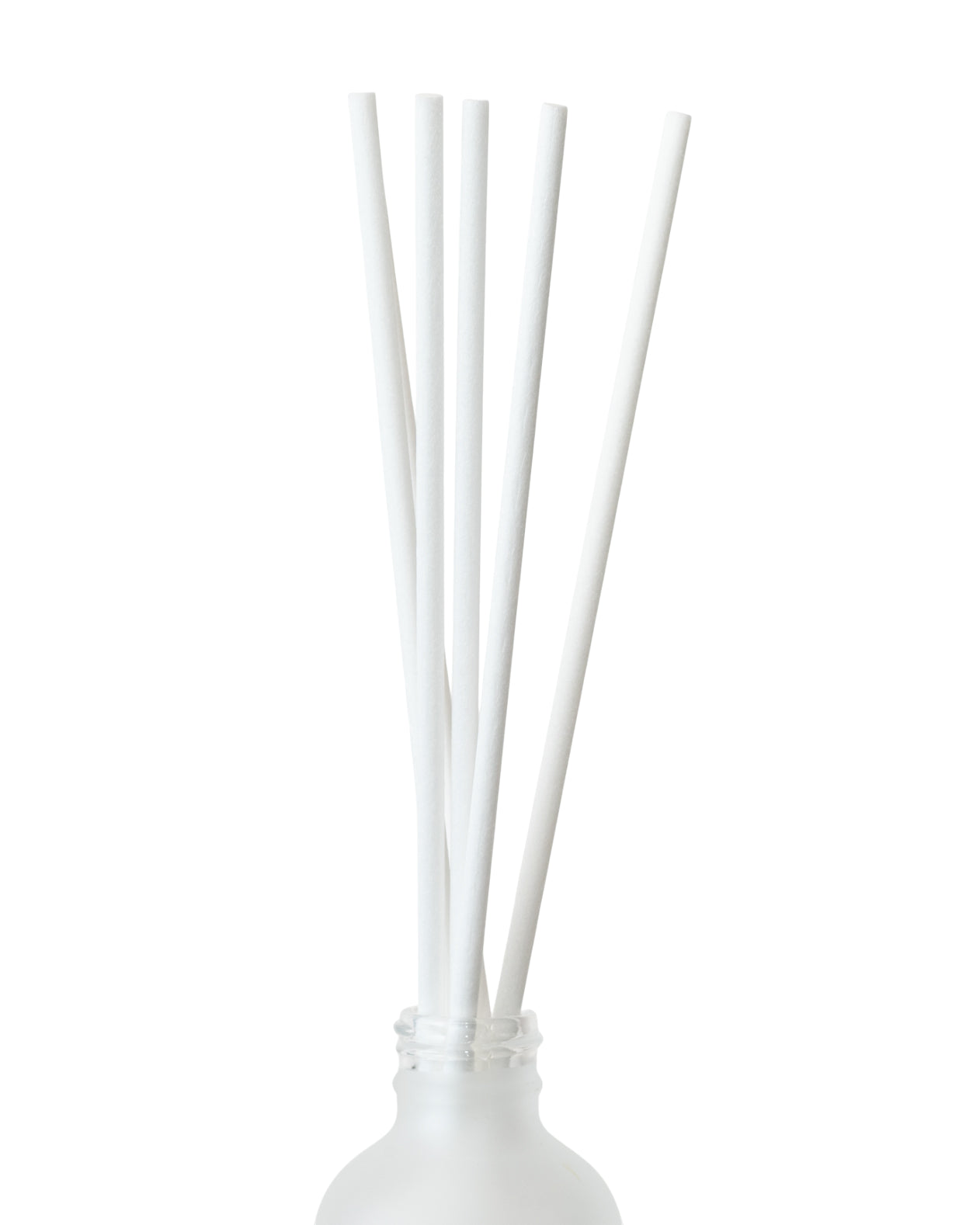 BÂTON DE ROSEAU DE RECHANGE | BLANC - Pando & Co