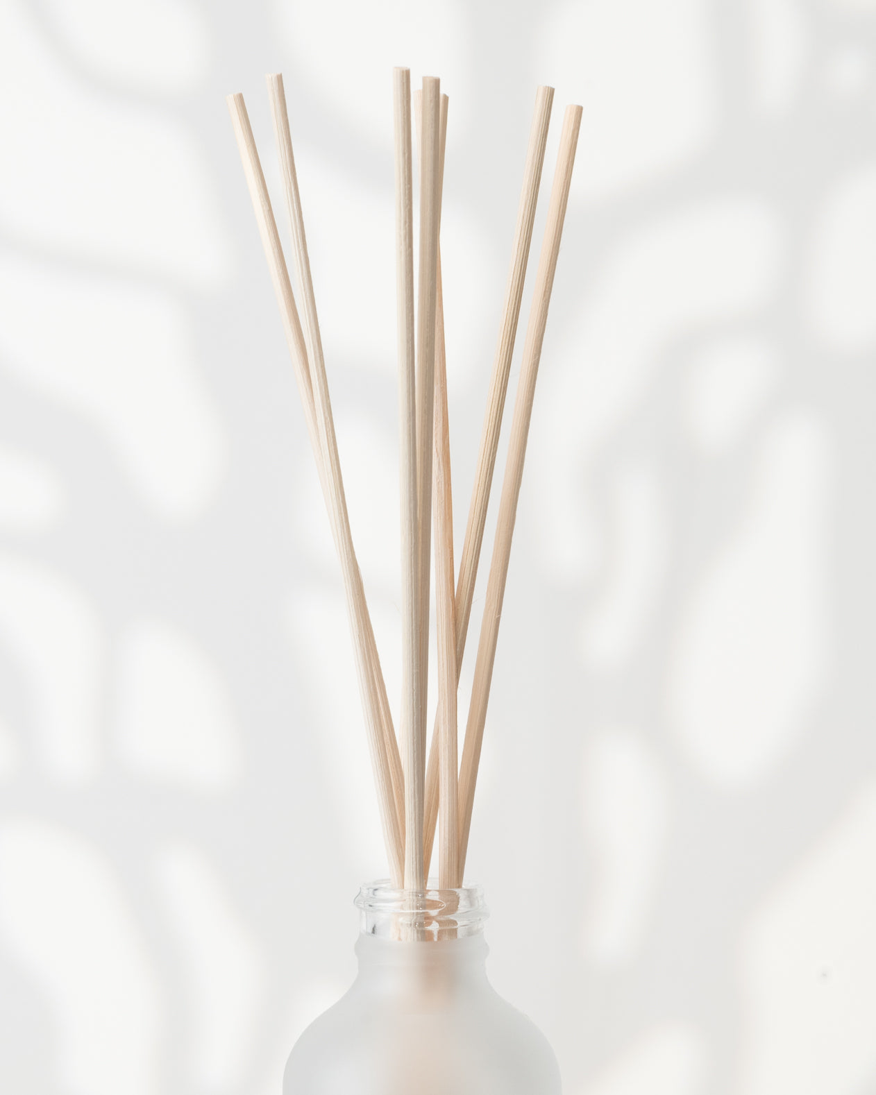 BÂTONS ROSEAUX - BAMBOU | PANDO & CO