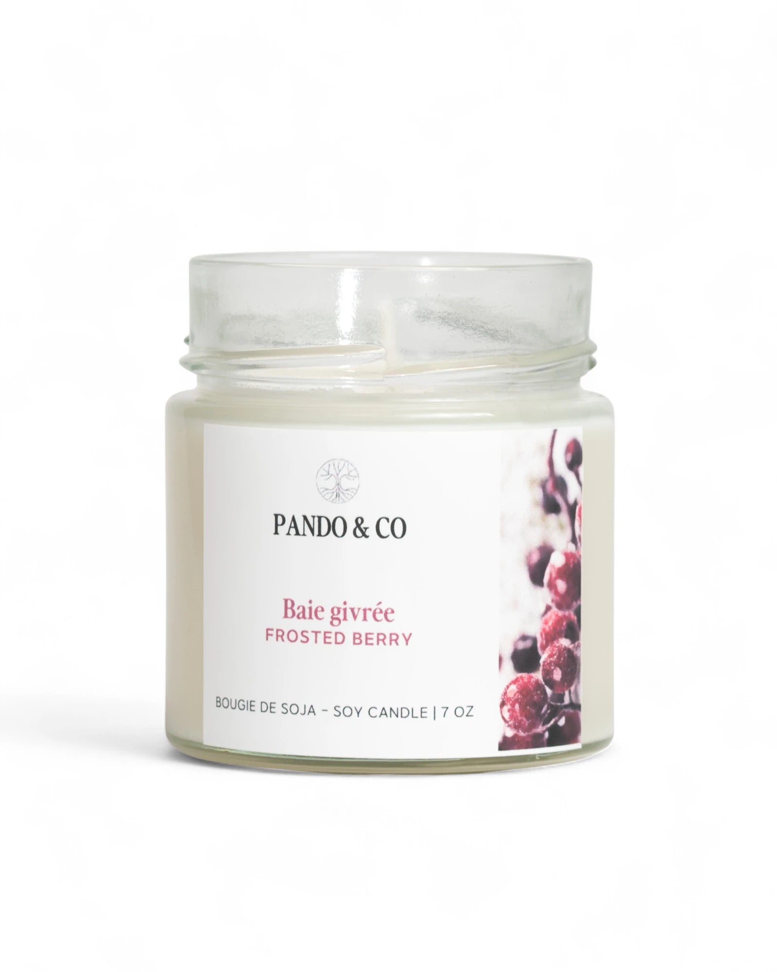 BOUGIE - BAIE GIVRÉE | PANDO & CO
