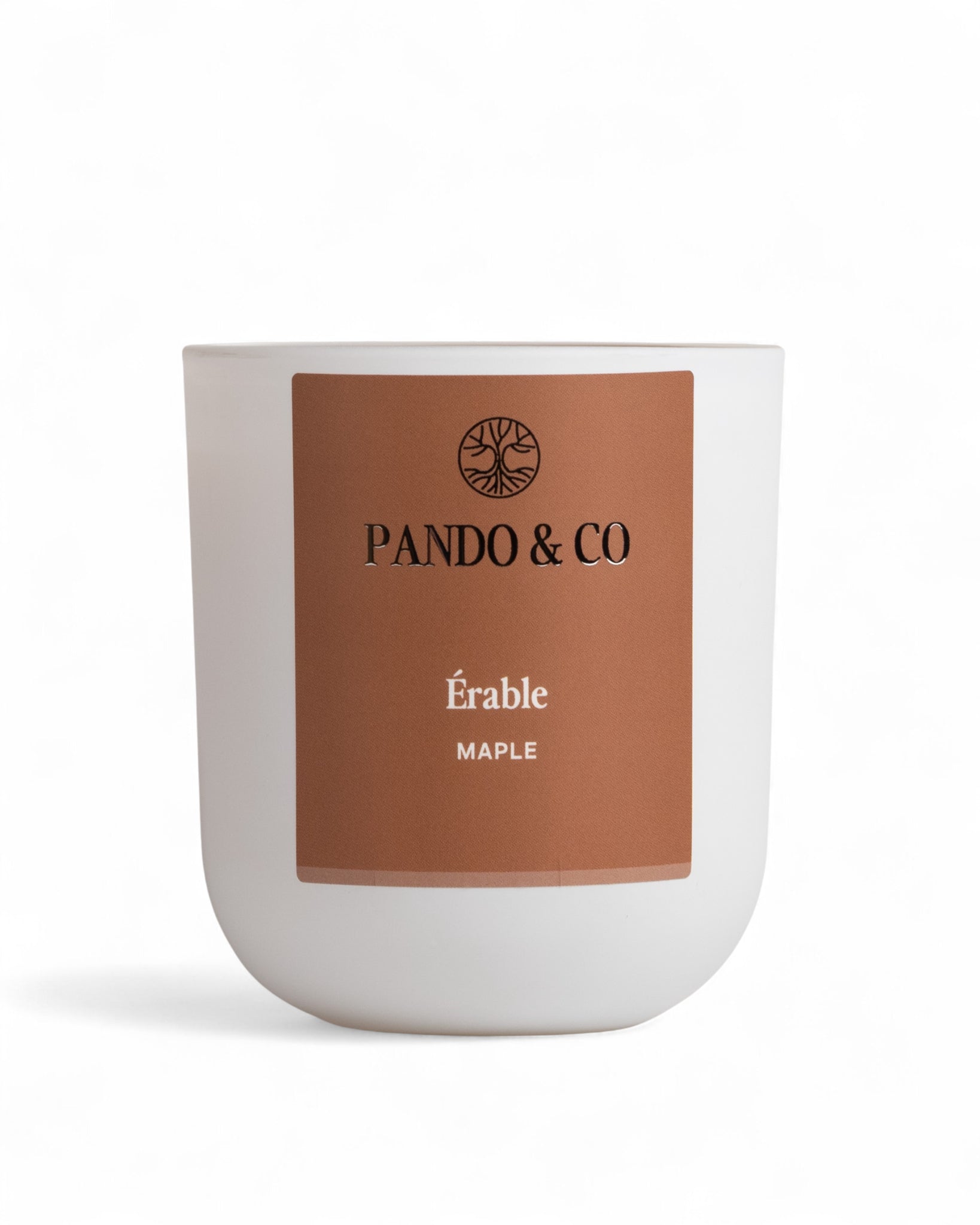 BOUGIE | ÉRABLE - Pando & co