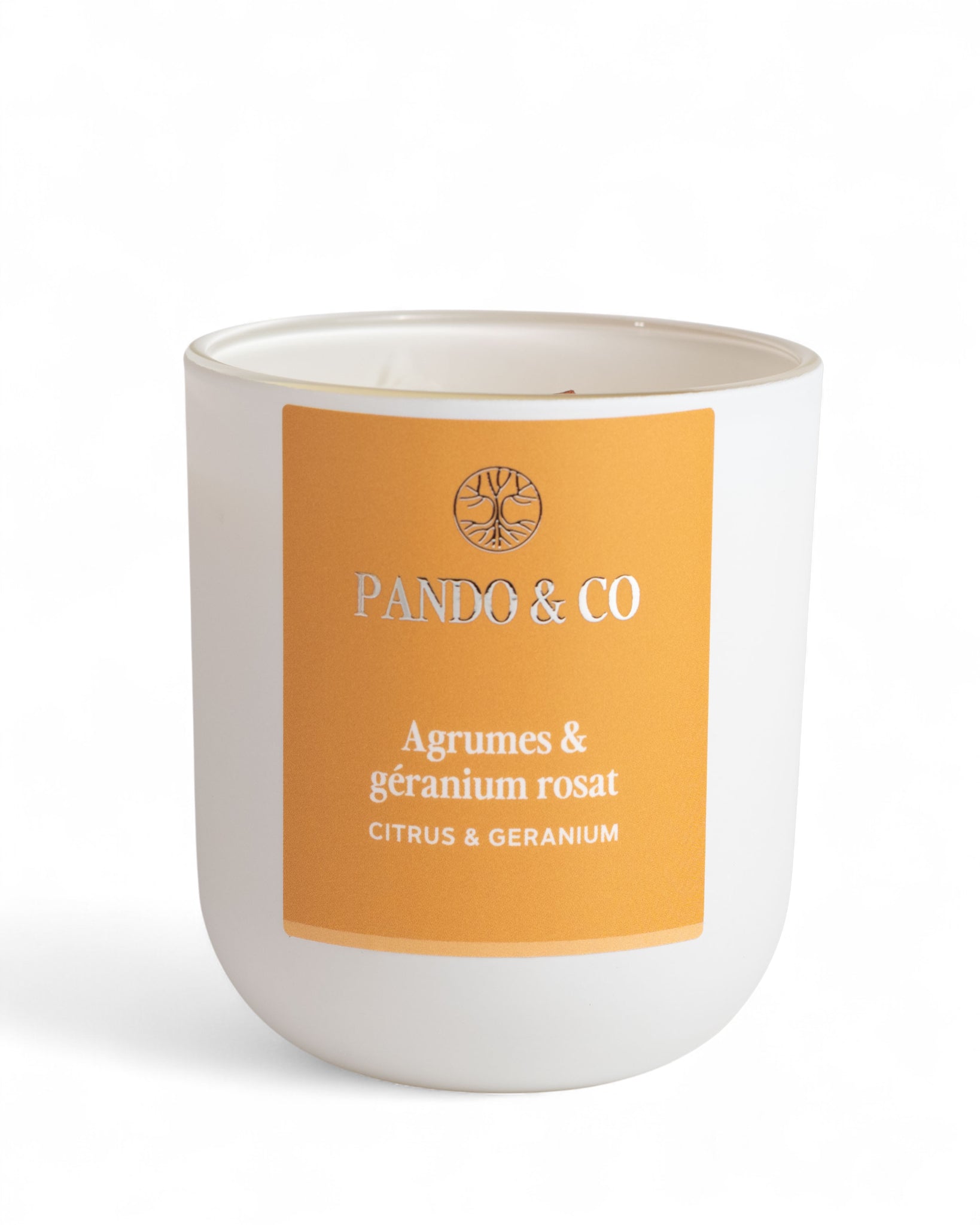 BOUGIE | AGRUMES & GÉRANIUM Pando & co