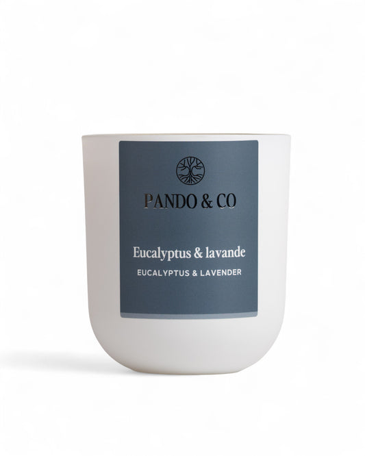 BOUGIE - EUCALYPTUS & LAVANDE | PANDO & CO