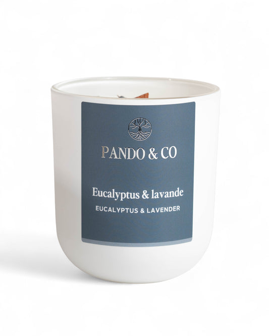 BOUGIE - EUCALYPTUS & LAVANDE | PANDO & CO