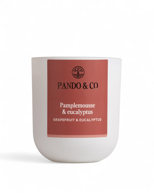 BOUGIE | PAMPLEMOUSE & EUCALYPTUS Pando & co