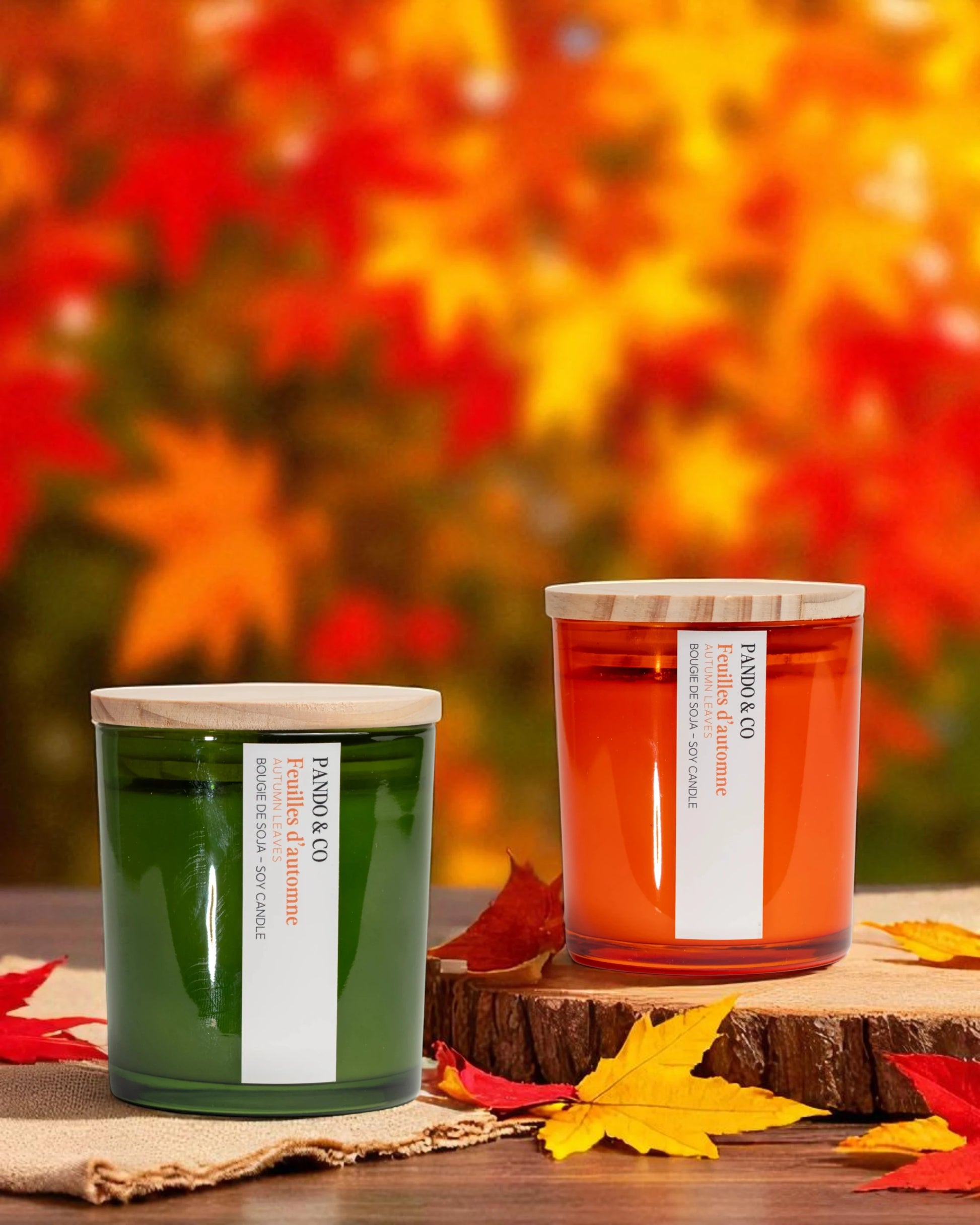 BOUGIE | FEUILLES D'AUTOMNE - PANDO & CO