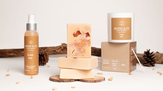 www.pandoetco.ca