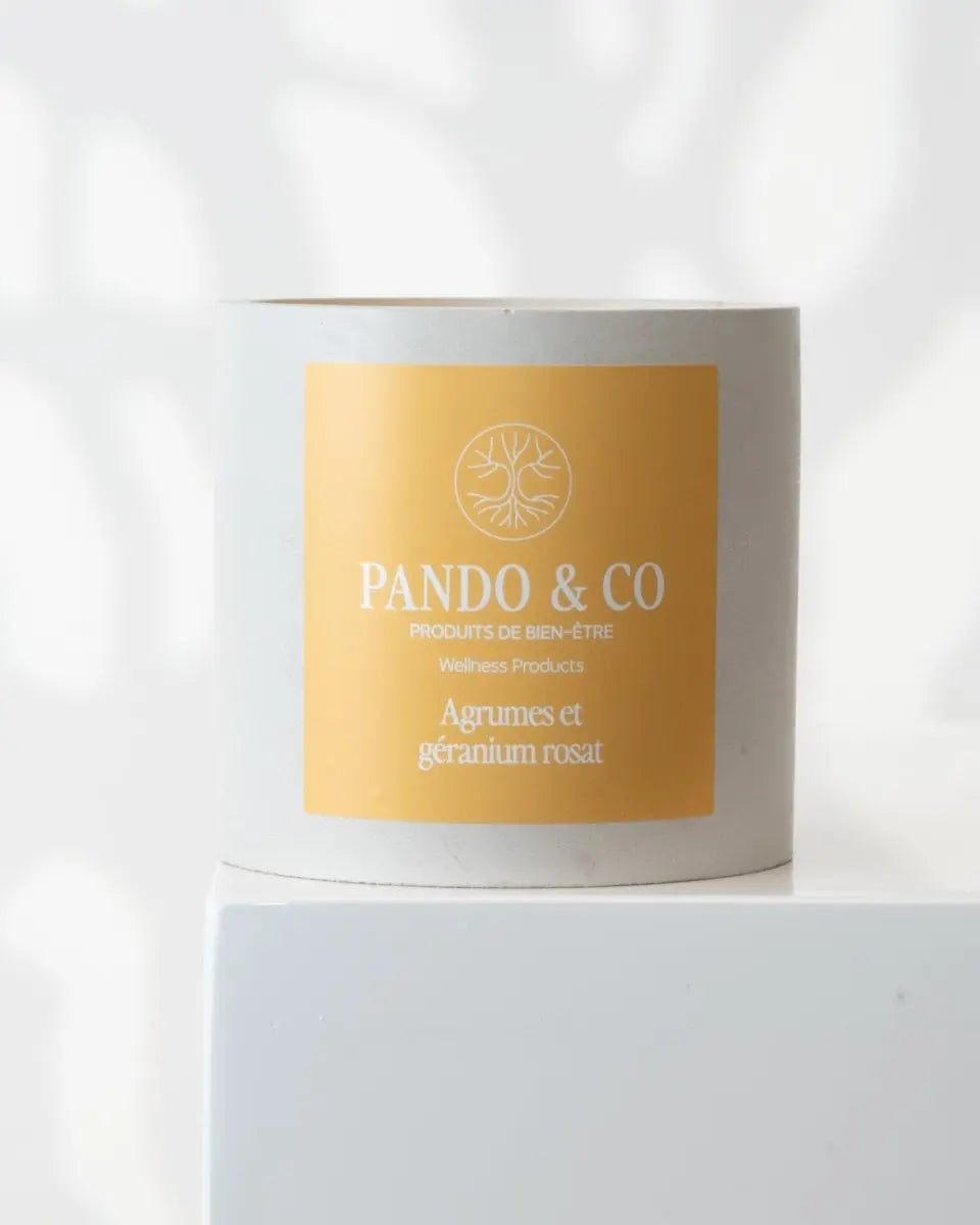 BOUGIE DE BÉTON MYSTÈRE - Pando & co - 