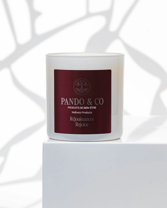 BOUGIE DES FÊTES | RÉJOUISSANCES Pando & co