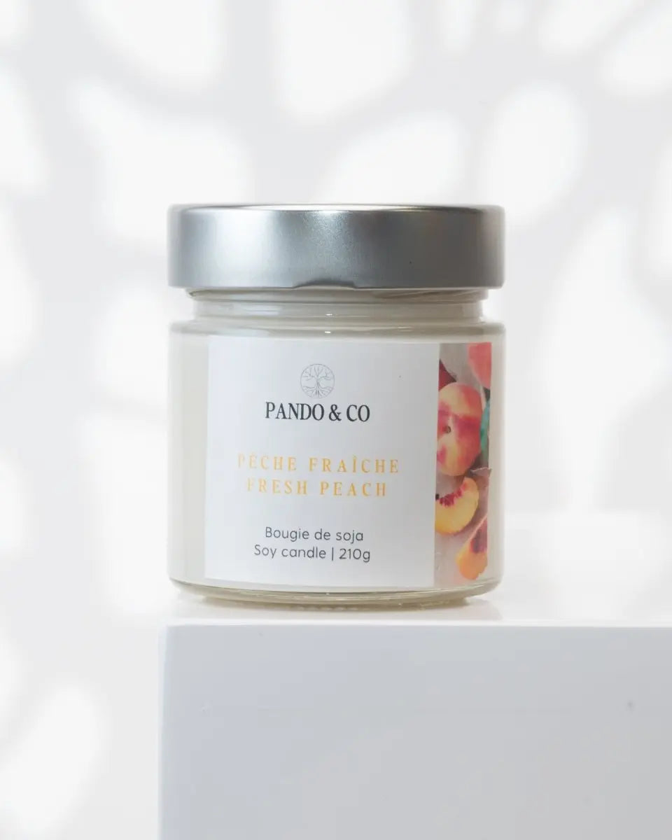 BOUGIE EXCLUSIVE | PÊCHE FRAÎCHE - Pando & co - 