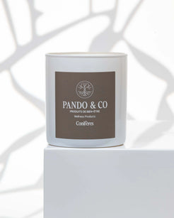 BOUGIE | CONIFÈRES Pando & co