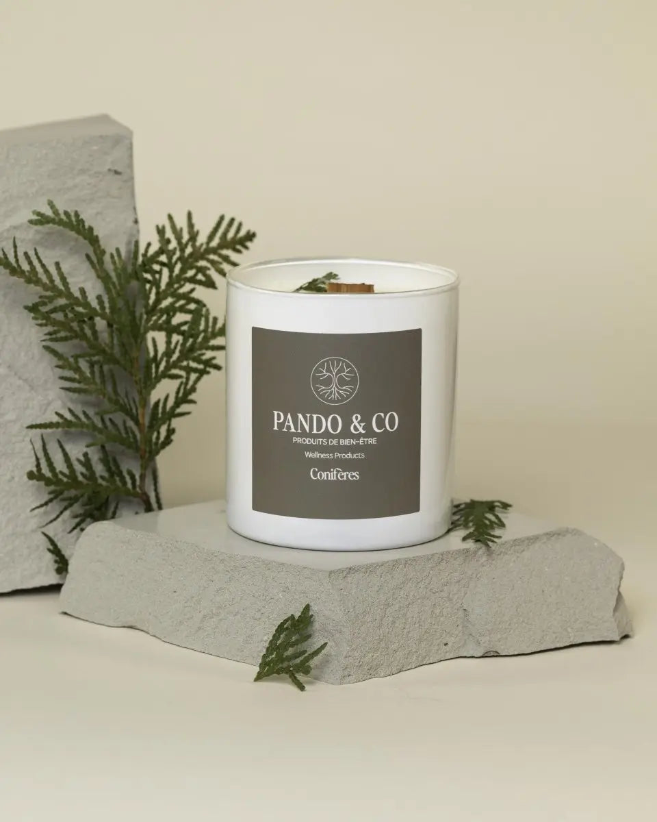 BOUGIE | CONIFÈRES - Pando & co - 