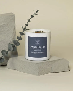 BOUGIE | EUCALYPTUS & LAVANDE - Pando & co - 