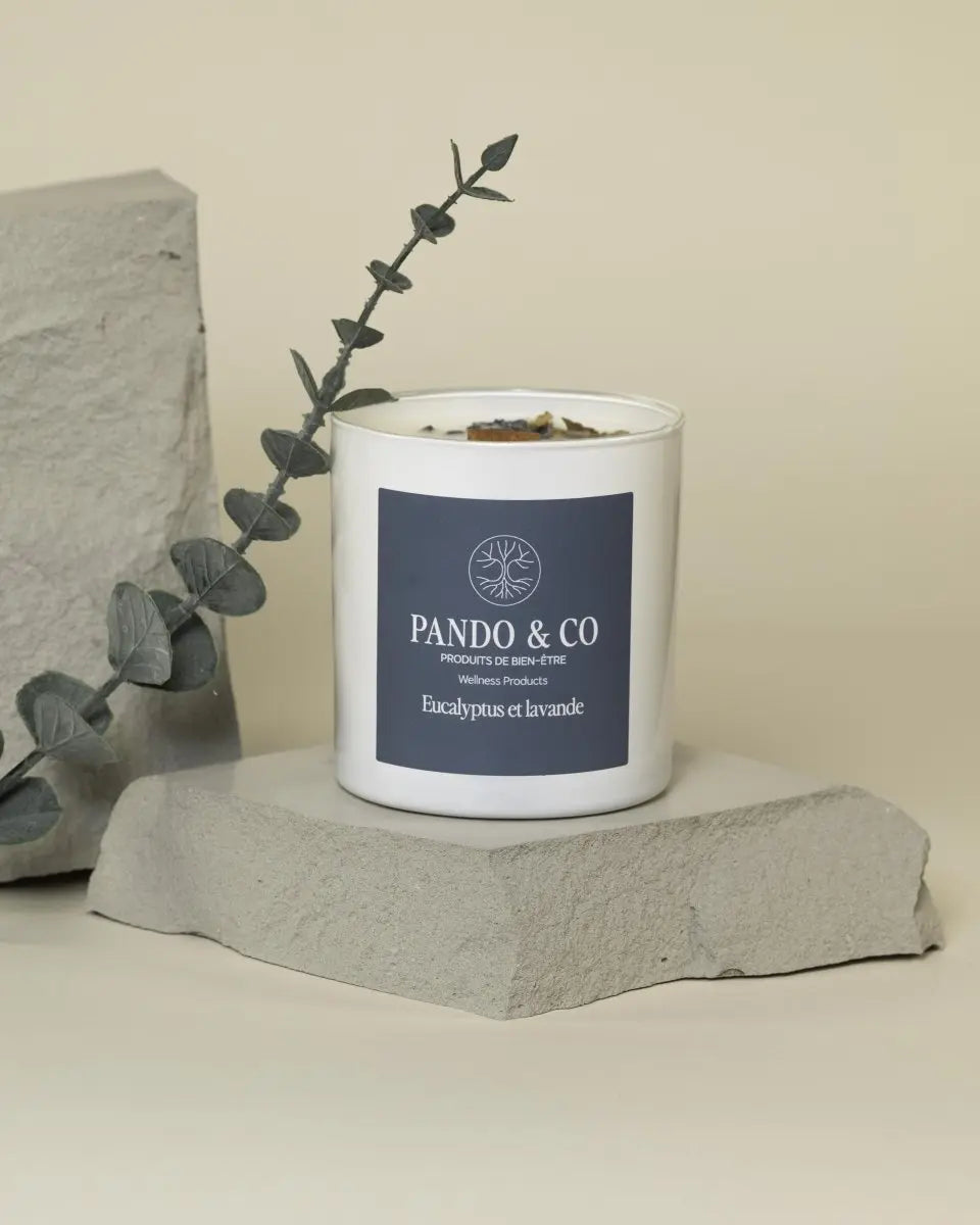 BOUGIE | EUCALYPTUS & LAVANDE - Pando & co - 