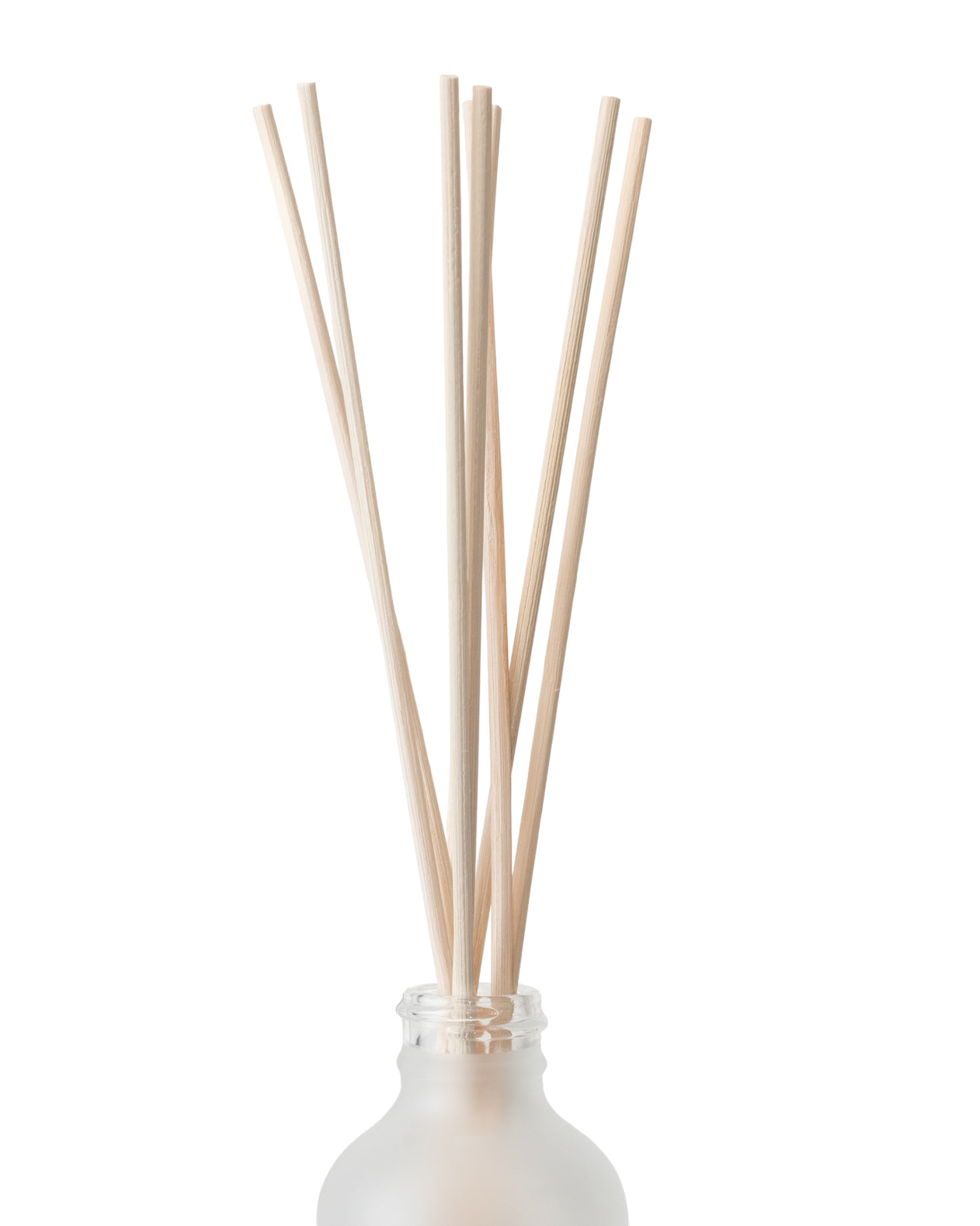 BÂTON DE ROSEAU DE RECHANGE | BAMBOU - Pando  Co