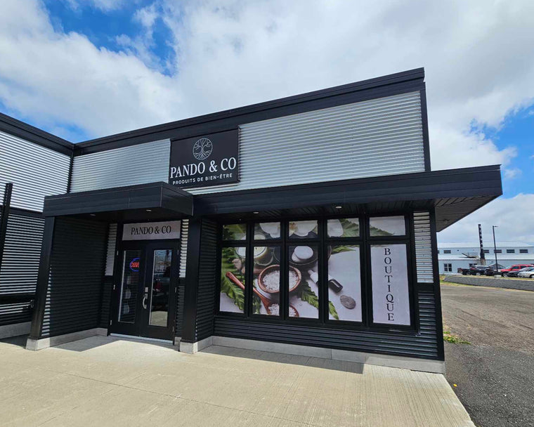 Boutique physique de Pando & Co - St-Jean-Port-Joli