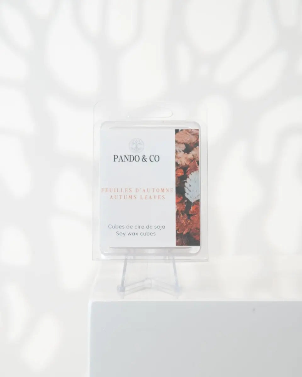 CUBE EXCLUSIF | FEUILLES D'AUTOMNE - Pando & co - 