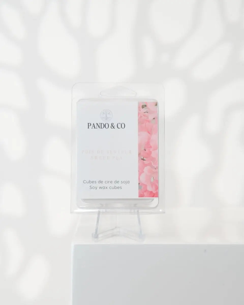 CUBE EXCLUSIF | POIS DE SENTEUR - Pando & co - 