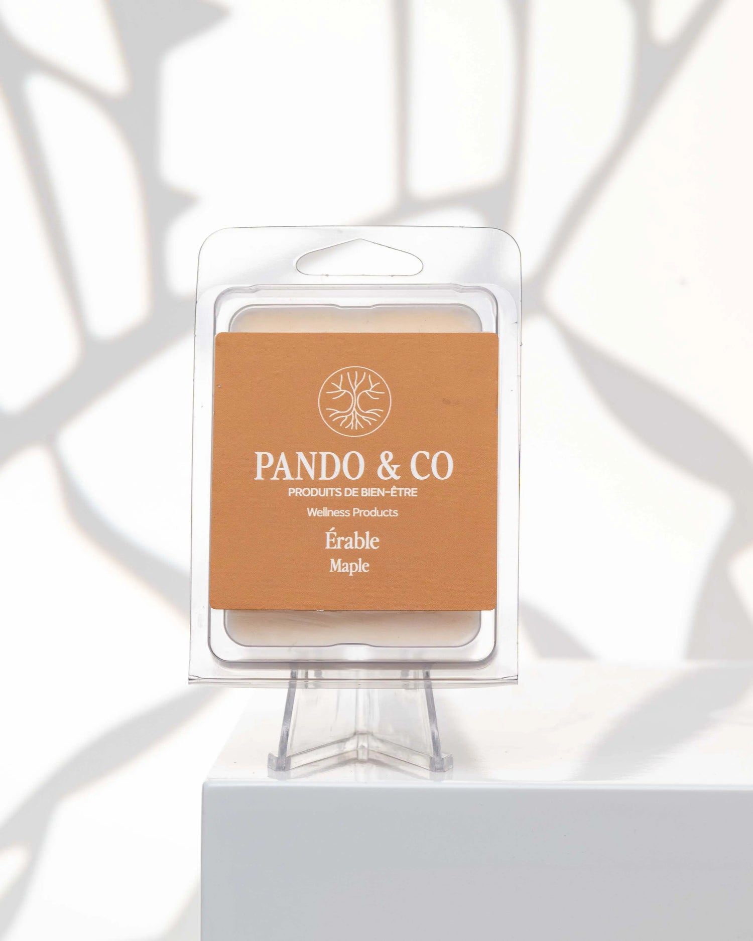 CUBES DE CIRE | ÉRABLE Pando & co