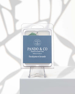 CUBES DE CIRE | EUCALYPTUS & LAVANDE Pando & co