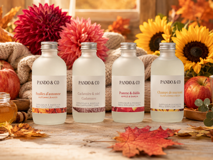 DIFFUSEUR À ROSEAUX & BÂTONS | POMME & DAHLIA