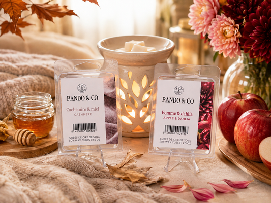 WAX CUBES | APPLE &amp; DAHLIA