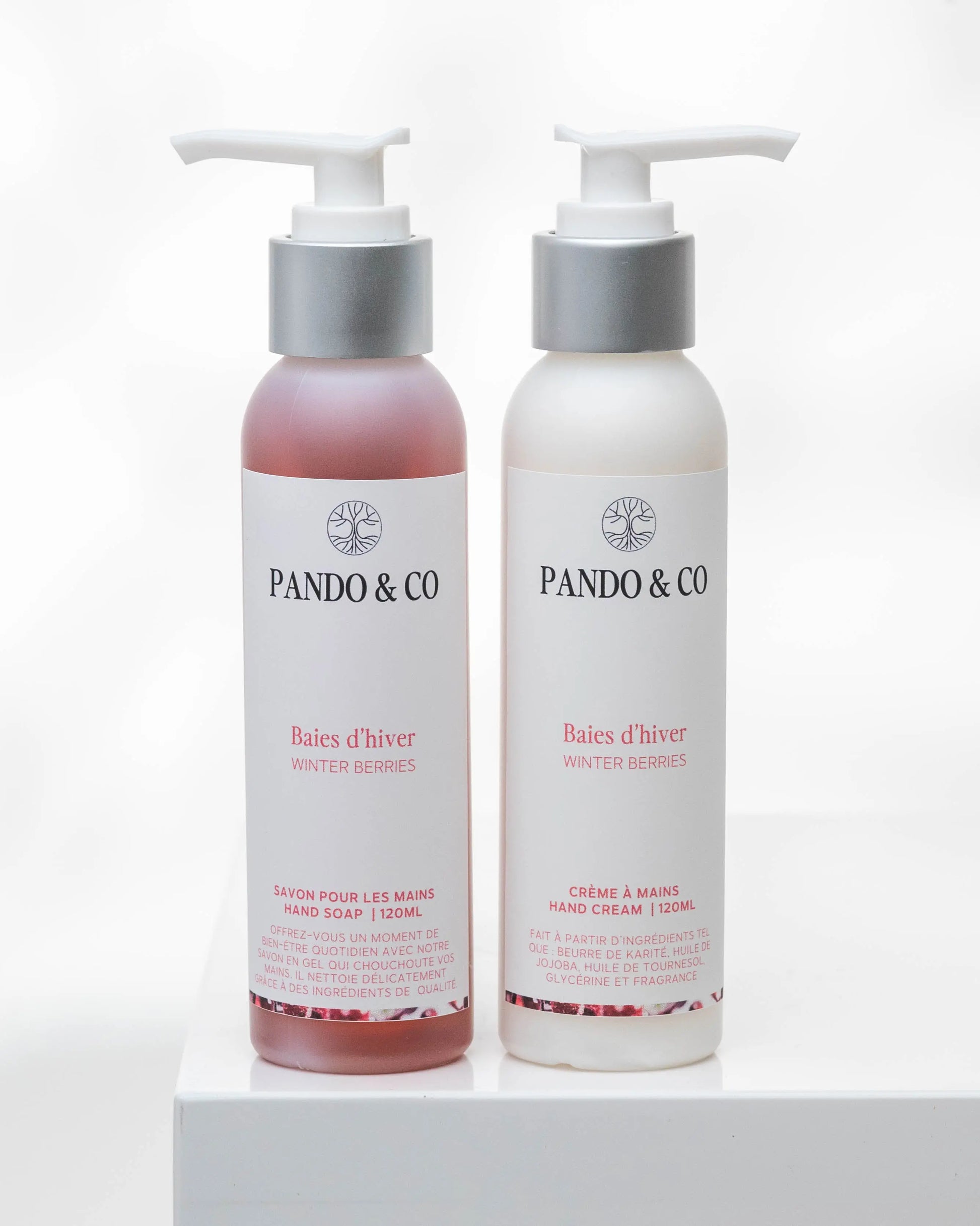 DUO SAVON & CRÈME À MAINS | BAIES D'HIVER Pando & co