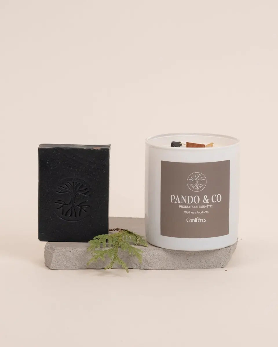 DUO | CONIFÈRES - Pando & co - Bougie