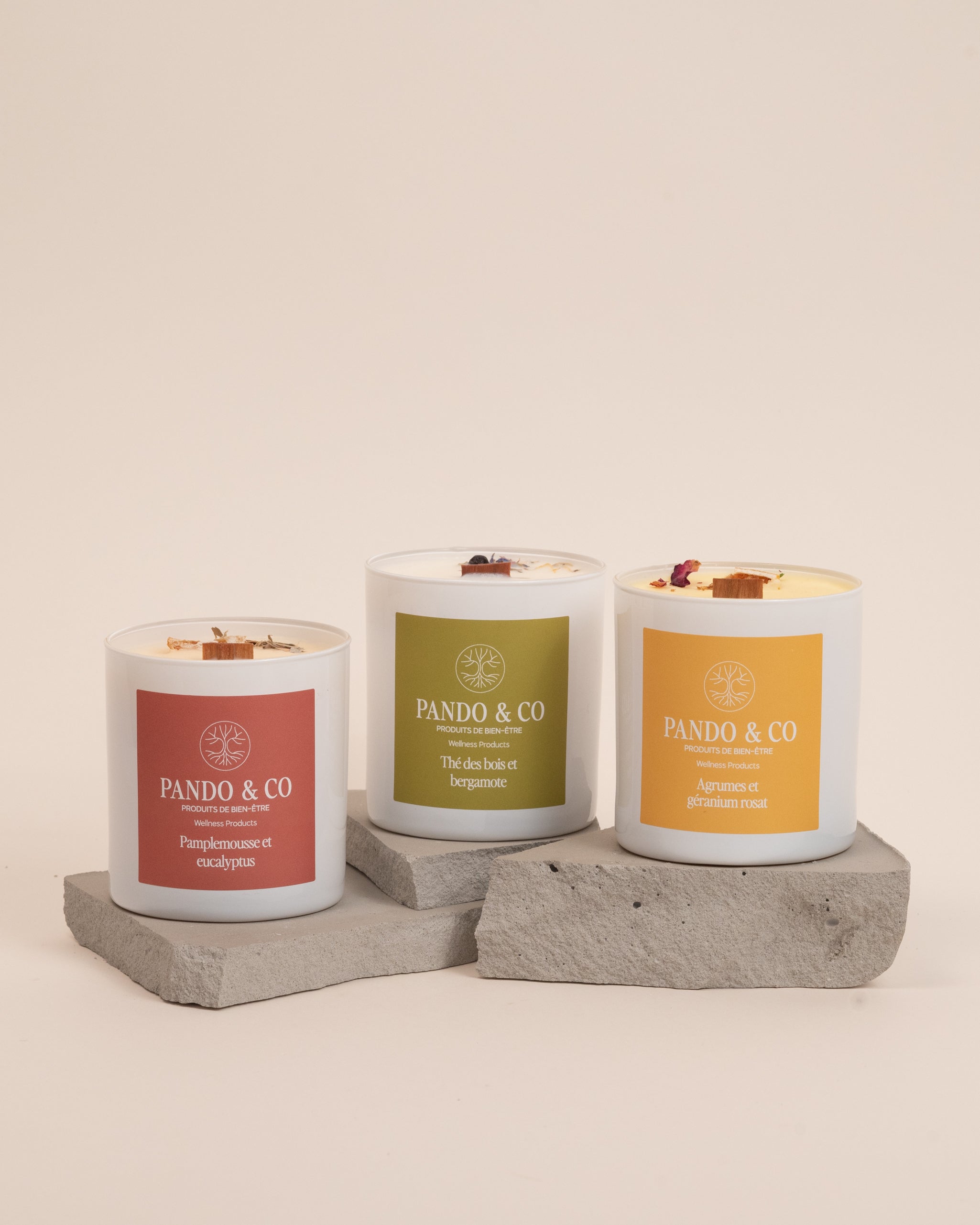 TRIO | SUMMER CANDLES