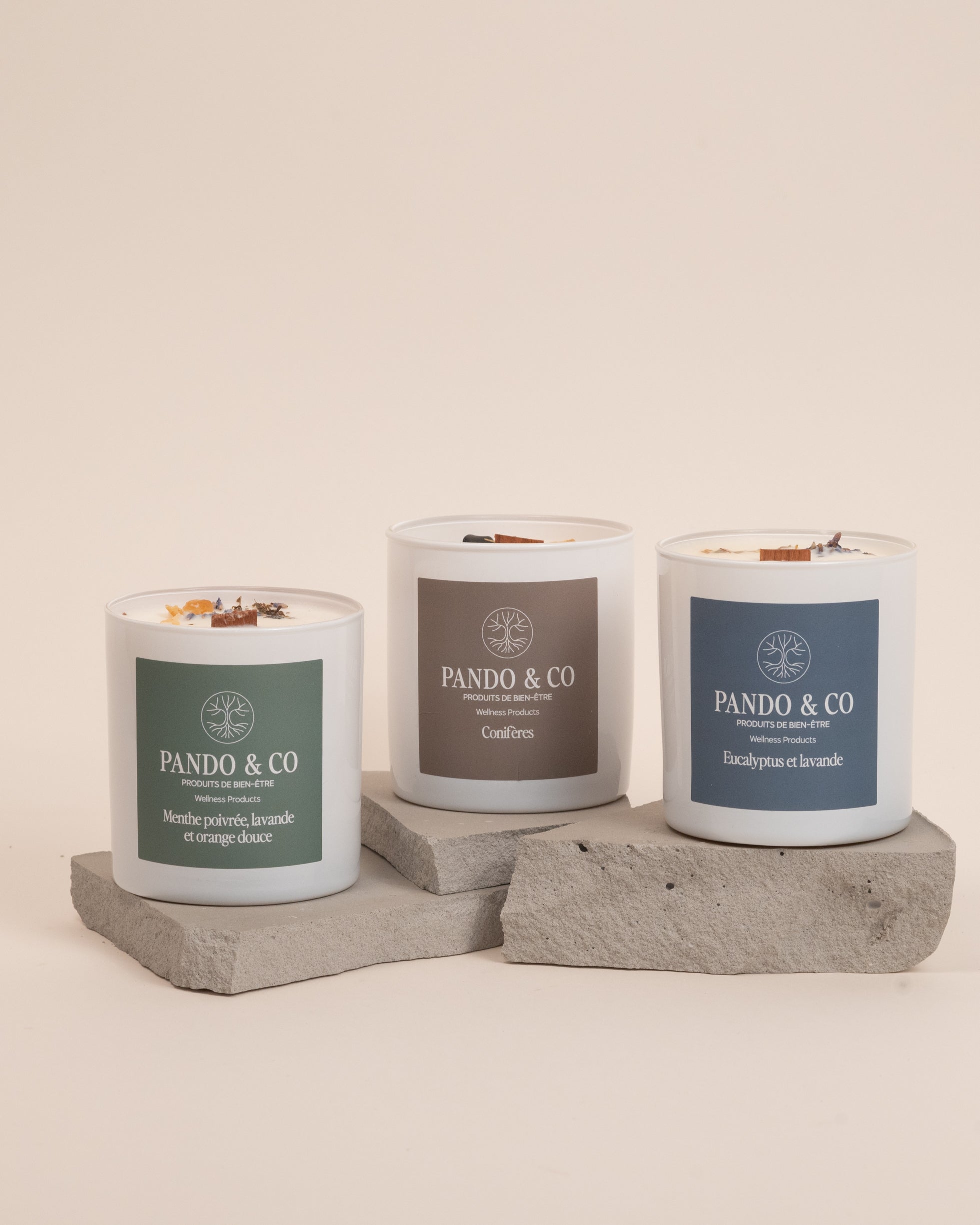 TRIO | WINTER CANDLES