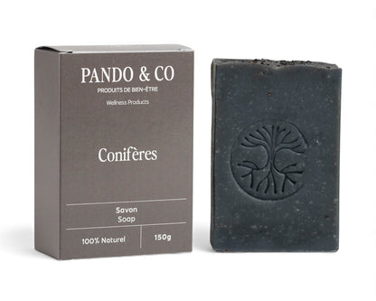 Savon corporel - Conifères | Pando & Co