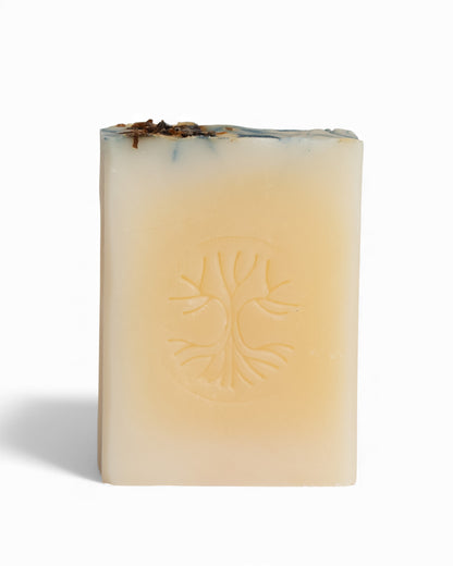 Savon corporel - Eucalyptus & lavande | Pando & Co