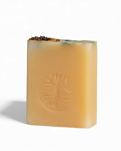 Savon corporel - Menthe poivrée, lavande et orange douce | Pando & Co