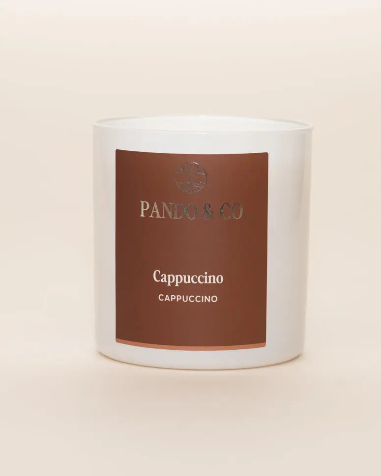 TRIO DE LANCEMENT | CAPPUCCINO Pando & co