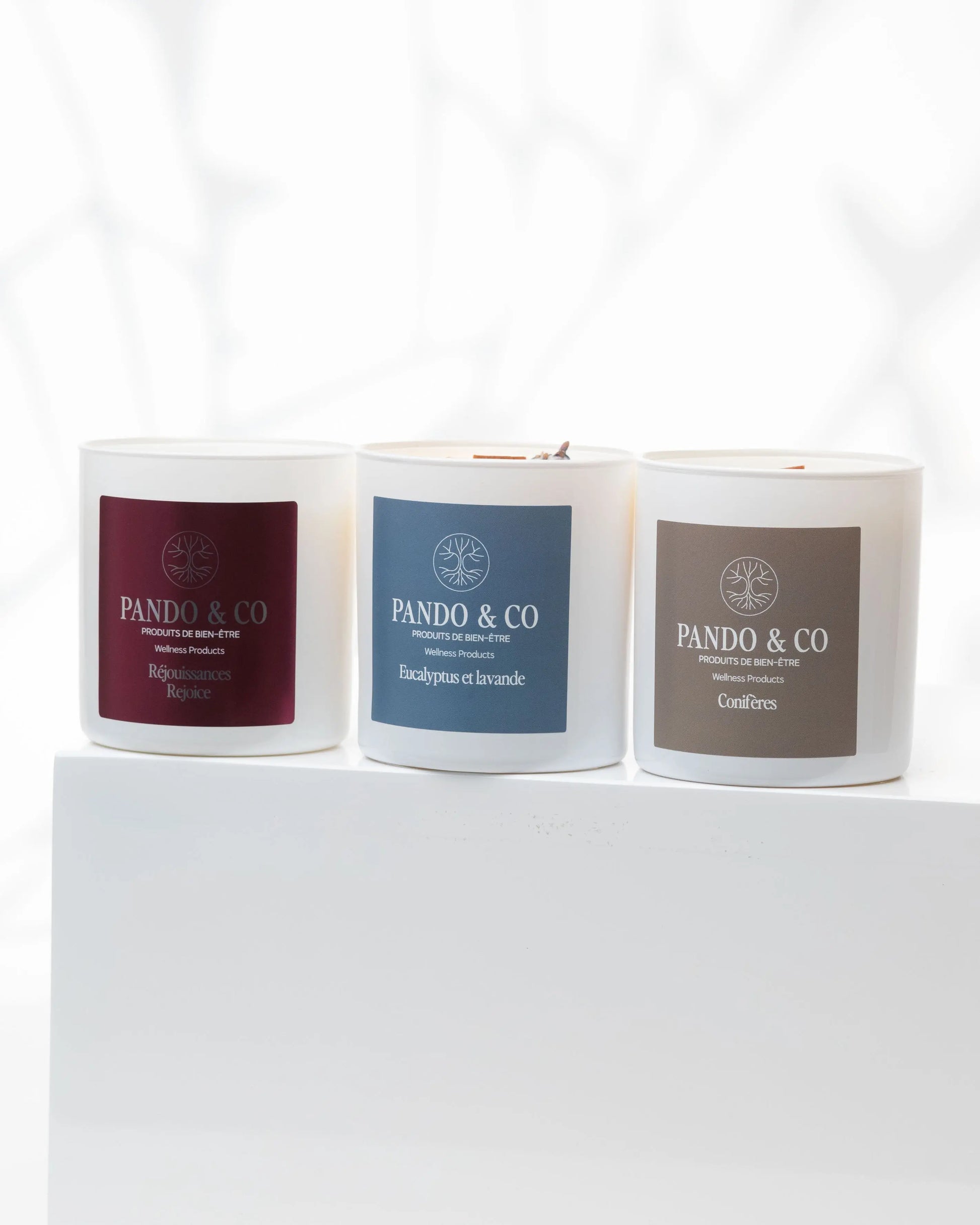 TRIO | BOUGIES DES FÊTES Pando & co