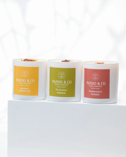 TRIO | BOUGIES ESTIVALES Pando & co