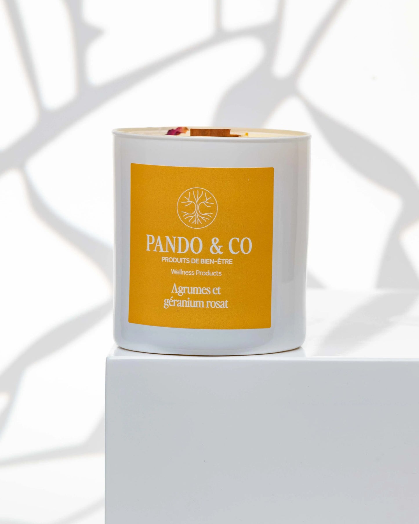 TRIO | BOUGIES ESTIVALES Pando & co