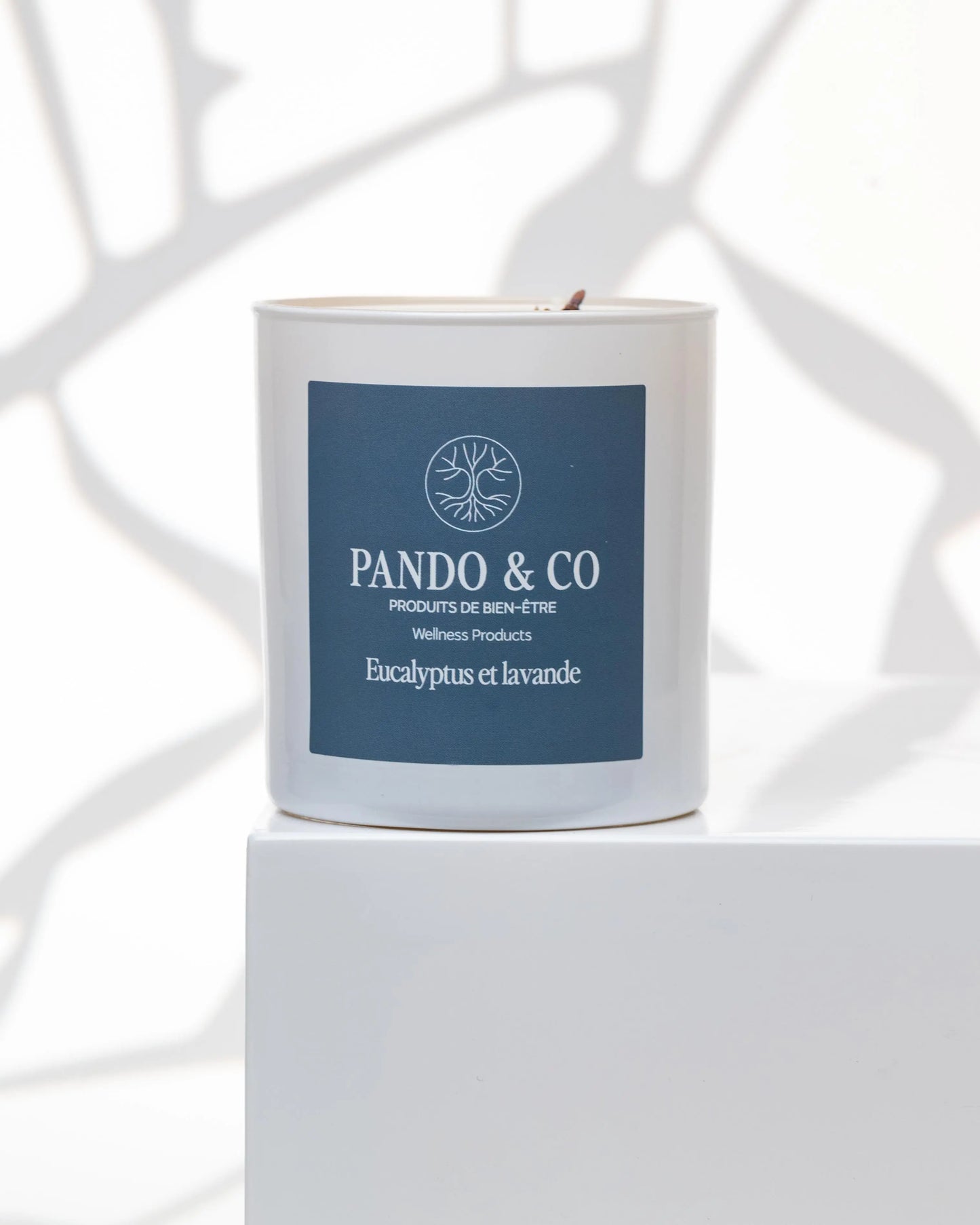 TRIO | BOUGIES HIVERNALES Pando & co