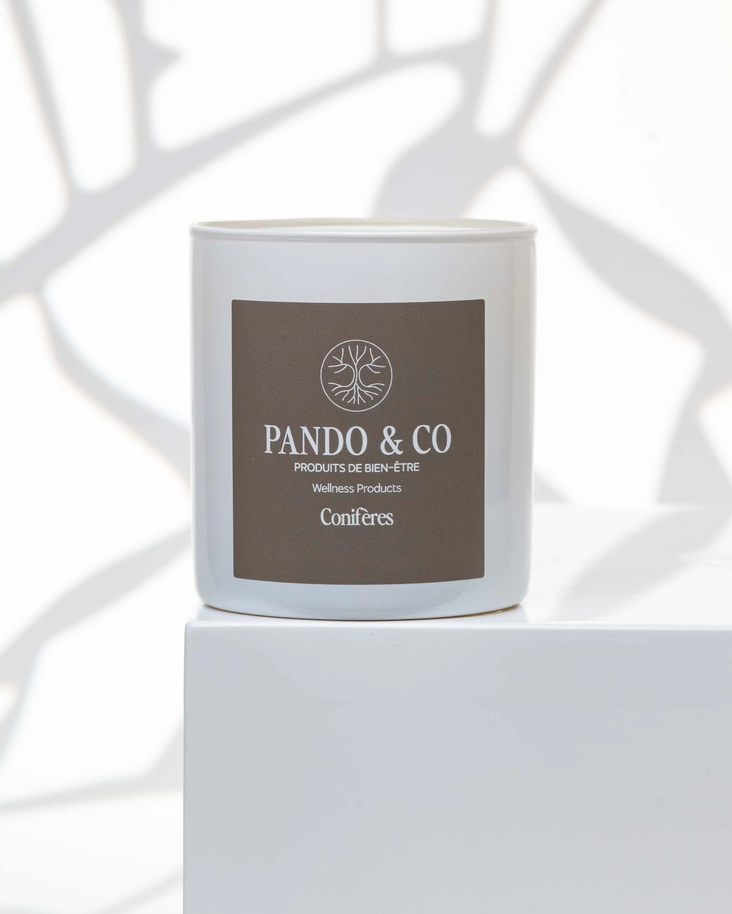 TRIO | BOUGIES HIVERNALES Pando & co