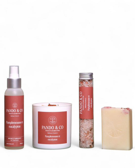 boite-cadeau-decouverte-de-pamplemousse-et-eucalyptus-pando-et-co