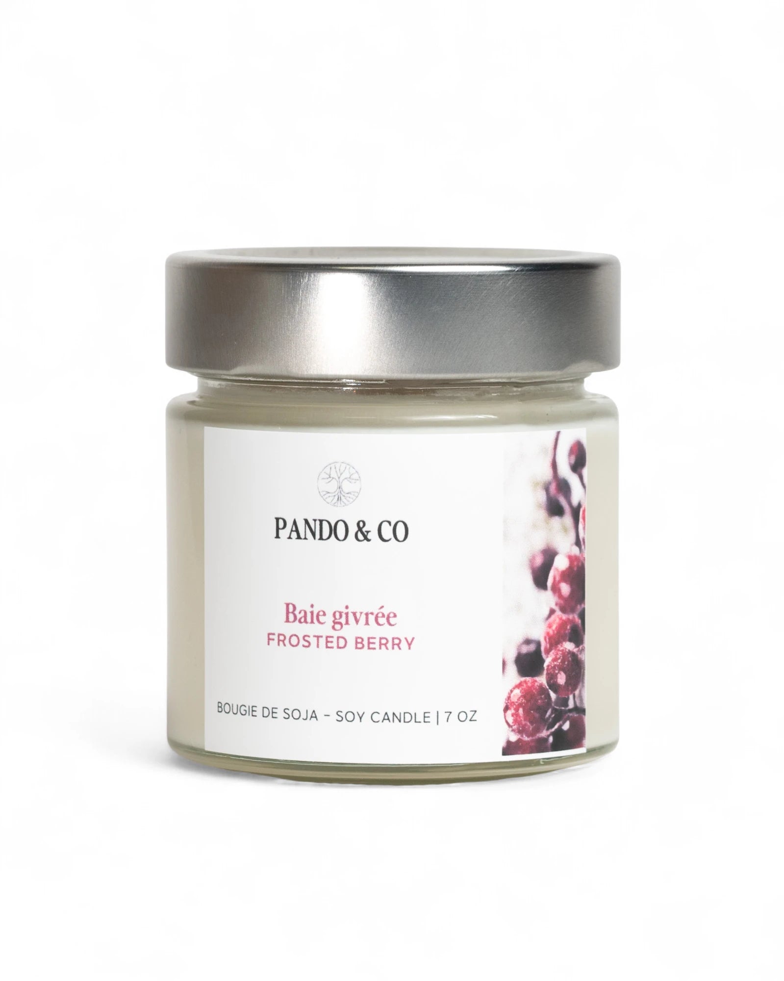 BOUGIE - BAIE GIVRÉE | PANDO & CO