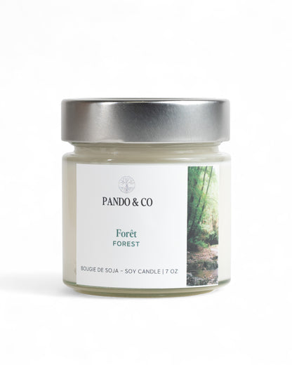 BOUGIE - FORÊT | PANDO & CO