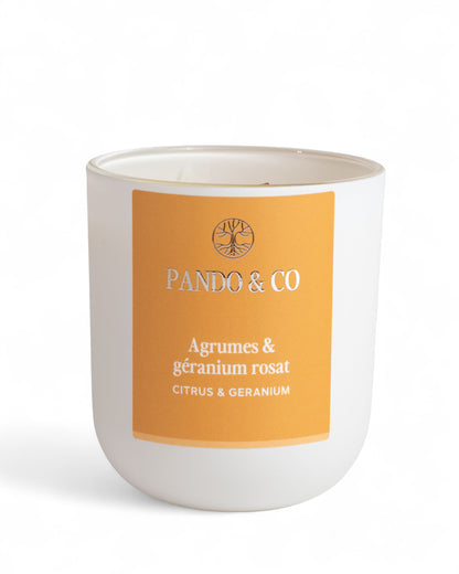 BOUGIE | AGRUMES & GÉRANIUM Pando & co