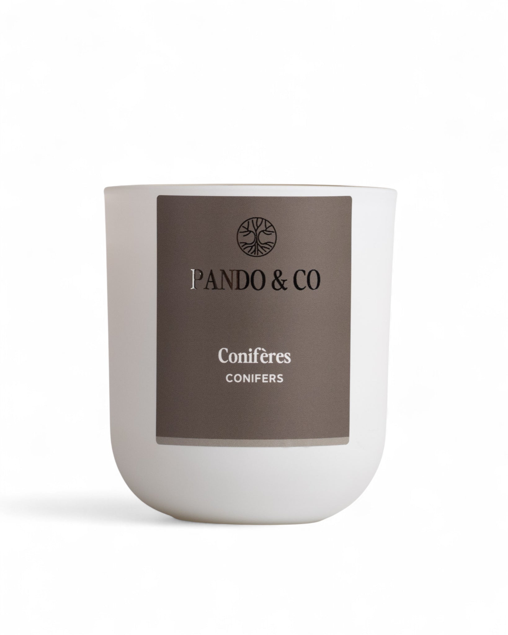 BOUGIE | CONIFÈRES - Pando & co
