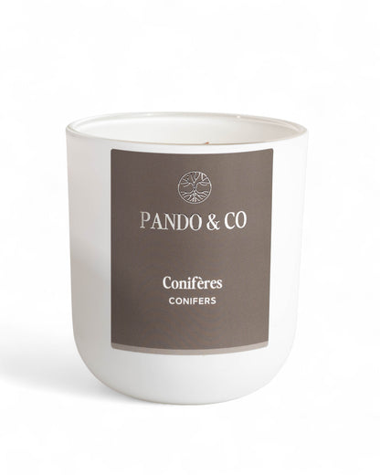 BOUGIE | CONIFÈRES - Pando & co
