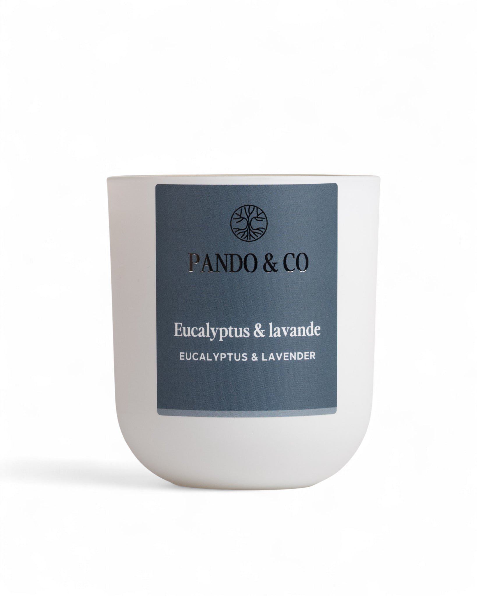BOUGIE - EUCALYPTUS & LAVANDE | PANDO & CO