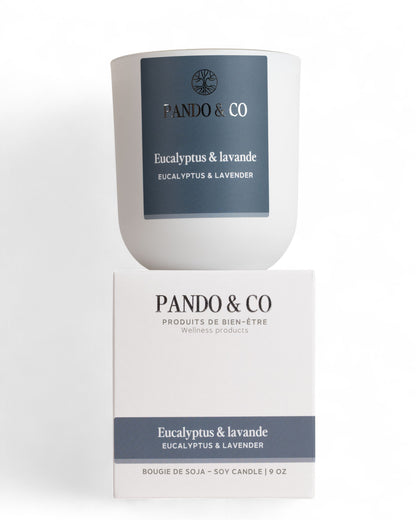 BOUGIE - EUCALYPTUS & LAVANDE | PANDO & CO